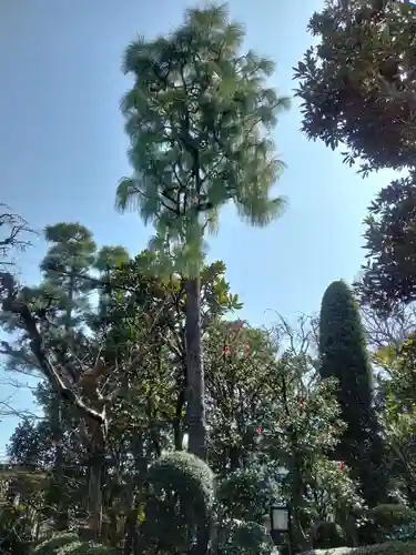 本光寺(東京都)