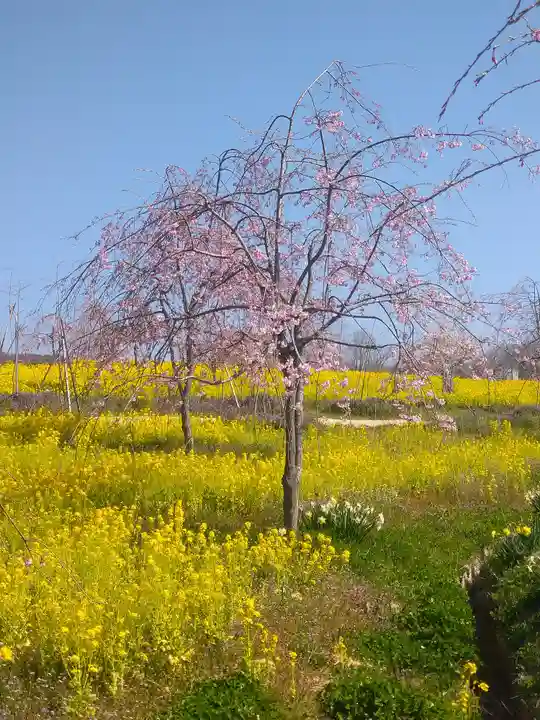 巳徳神社の周辺