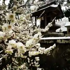 豊景神社の自然