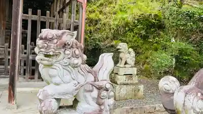 是社神社の狛犬