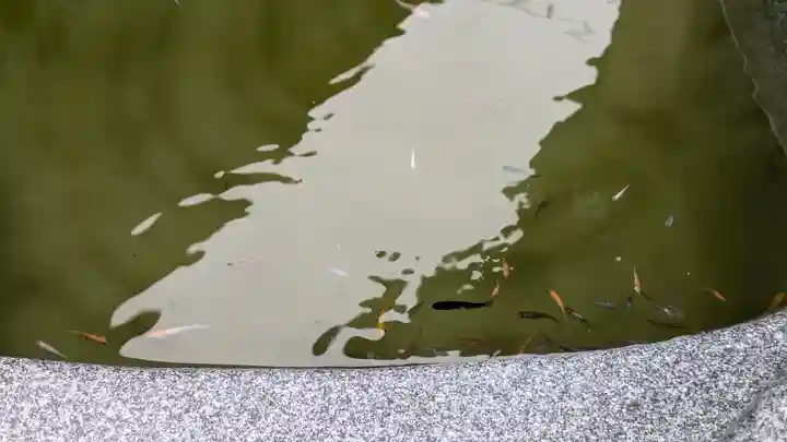 金樹寺(京都府)