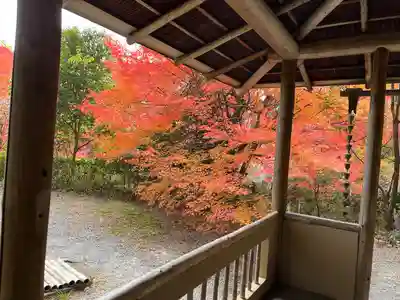 常照寺(京都府)