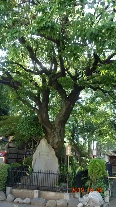 白山神社の庭園