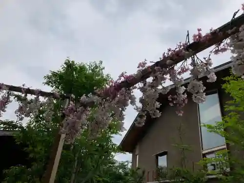 川越氷川神社の{uncategorized: "未分類", other: "その他", undefined: "問題あり", building: "その他建物", grave: "お墓", sacred_gate: "鳥居", guardian: "狛犬", statue: "像", buddha: "仏像", history: "歴史", nature: "自然", garden: "庭園", animal: "動物", pagoda: "塔", temizu: "手水舎", mountain_gate: "山門・神門", sanctuary: "本殿・本堂", subordinate: "末社・摂社", art: "芸術", scenery: "景色", jizo: "地蔵", ema: "絵馬", goshuin: "御朱印", omikuji: "おみくじ", items: "授与品その他", amulet: "お守り", goshuincho: "御朱印帳", eats: "食事", festival: "お祭り", votive_dance: "神楽", shichigosan: "七五三参", wedding: "結婚式", experience: "体験その他", initially: "初詣", around: "周辺", anti_infection: "感染症対策"}