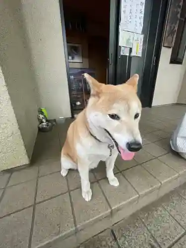 笠䅣稲荷神社(神奈川県)