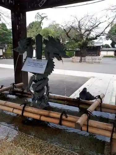 喜多院の手水舎