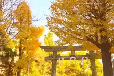 稲毛神社(神奈川県)