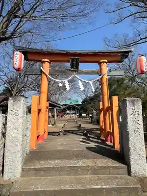 水海道鎮守 八幡神社(茨城県)