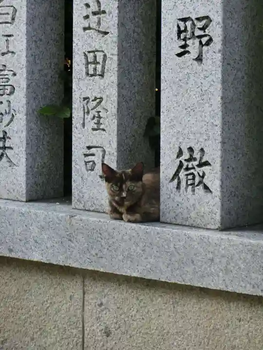 和泉國一之宮 大鳥大社の動物