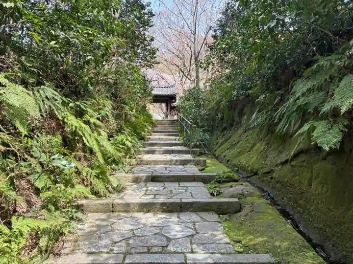 瑞泉寺の{uncategorized: "未分類", other: "その他", undefined: "問題あり", building: "その他建物", grave: "お墓", sacred_gate: "鳥居", guardian: "狛犬", statue: "像", buddha: "仏像", history: "歴史", nature: "自然", garden: "庭園", animal: "動物", pagoda: "塔", temizu: "手水舎", mountain_gate: "山門・神門", sanctuary: "本殿・本堂", subordinate: "末社・摂社", art: "芸術", scenery: "景色", jizo: "地蔵", ema: "絵馬", goshuin: "御朱印", omikuji: "おみくじ", items: "授与品その他", amulet: "お守り", goshuincho: "御朱印帳", eats: "食事", festival: "お祭り", votive_dance: "神楽", shichigosan: "七五三参", wedding: "結婚式", experience: "体験その他", initially: "初詣", around: "周辺", anti_infection: "感染症対策"}