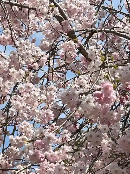 厳島神社(広島県)