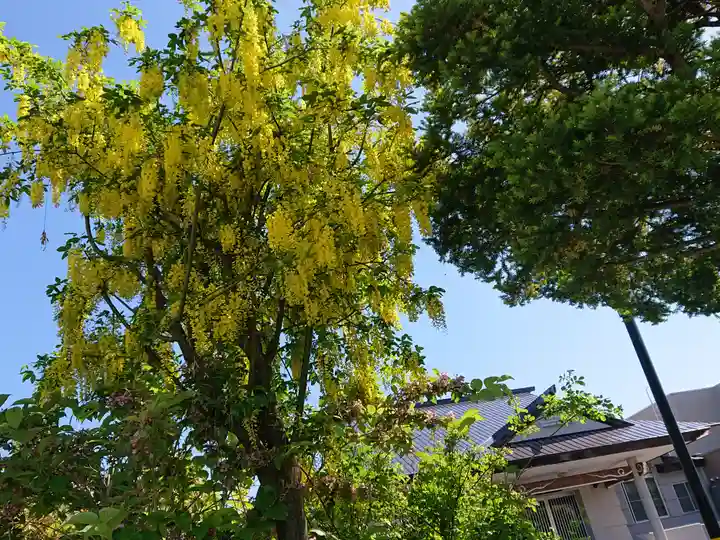 極楽山 浄土寺の自然