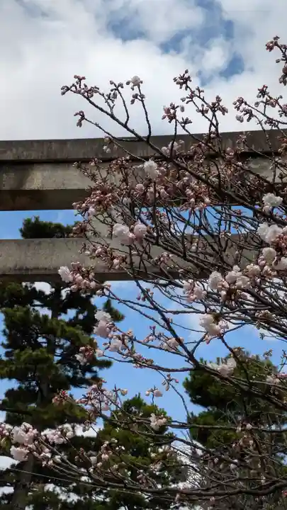 御香宮神社(京都府)