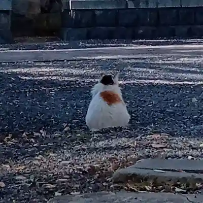 阿邪訶根神社(福島県)