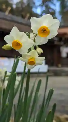 平野神社(京都府)