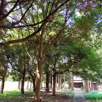 火皇子神社(千葉県)