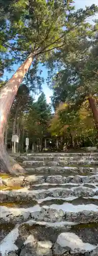 常照皇寺(京都府)