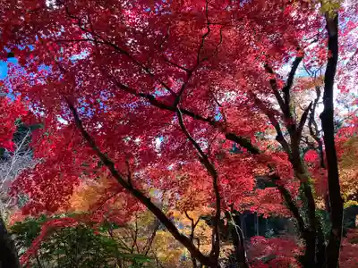 洞光寺(兵庫県)