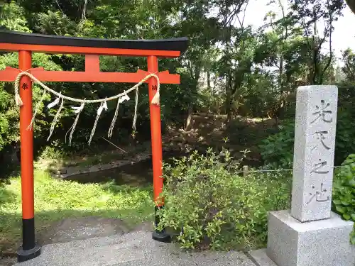 鷲宮神社の庭園