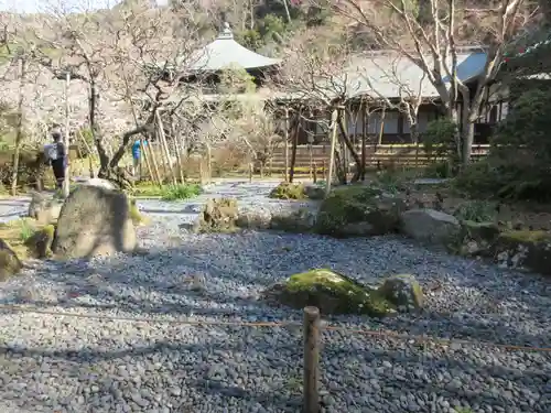 瑞泉寺の庭園