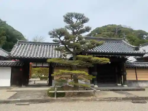 粉河寺の{uncategorized: "未分類", other: "その他", undefined: "問題あり", building: "その他建物", grave: "お墓", sacred_gate: "鳥居", guardian: "狛犬", statue: "像", buddha: "仏像", history: "歴史", nature: "自然", garden: "庭園", animal: "動物", pagoda: "塔", temizu: "手水舎", mountain_gate: "山門・神門", sanctuary: "本殿・本堂", subordinate: "末社・摂社", art: "芸術", scenery: "景色", jizo: "地蔵", ema: "絵馬", goshuin: "御朱印", omikuji: "おみくじ", items: "授与品その他", amulet: "お守り", goshuincho: "御朱印帳", eats: "食事", festival: "お祭り", votive_dance: "神楽", shichigosan: "七五三参", wedding: "結婚式", experience: "体験その他", initially: "初詣", around: "周辺", anti_infection: "感染症対策"}