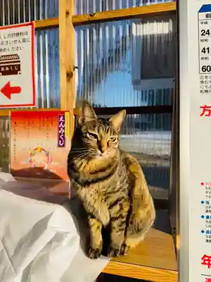 守りの神 藤基神社(新潟県)