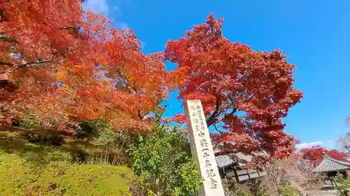 善峯寺(京都府)