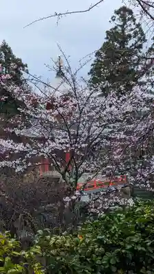 正法寺(京都府)