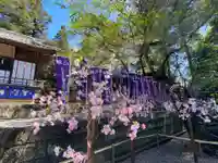 下野 星宮神社のその他建物
