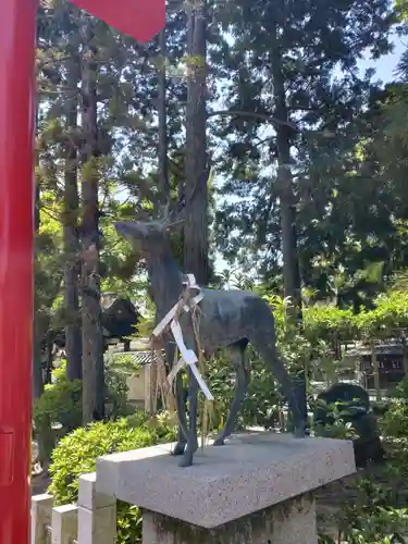 立木神社の狛犬