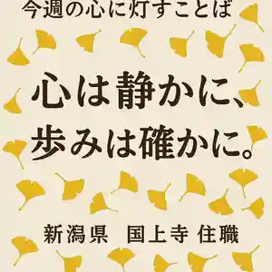 国上寺(新潟県)(2025年11月01日(土) 18時29分30秒投稿)