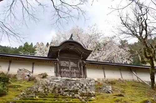 常照皇寺の山門