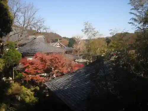 長谷寺のその他建物