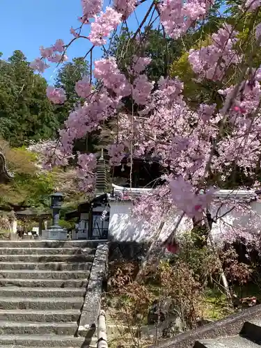 岡寺（龍蓋寺）(奈良県)