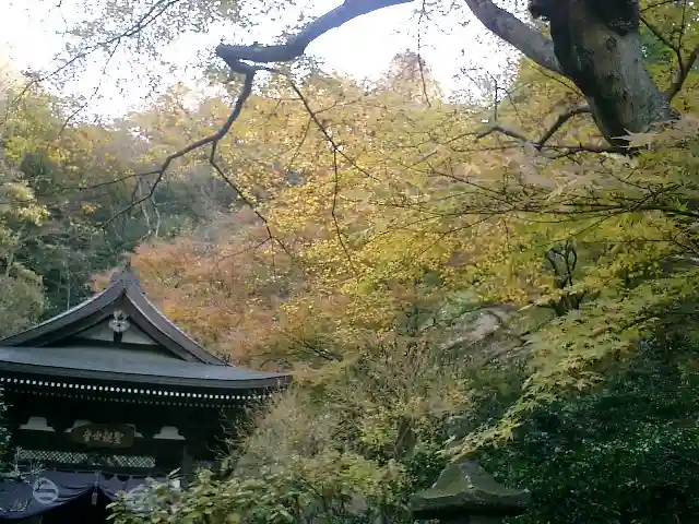 黄梅院(円覚寺塔頭)の景色
