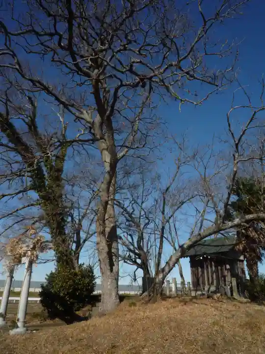 神明神社の自然