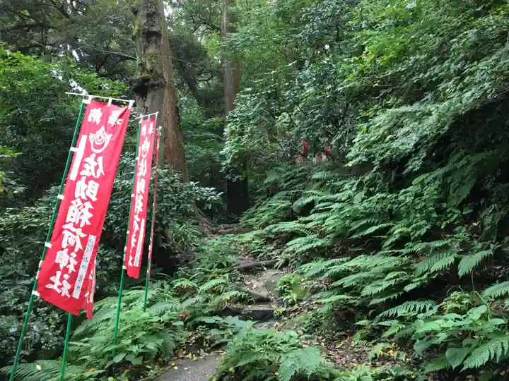 佐助稲荷神社の自然