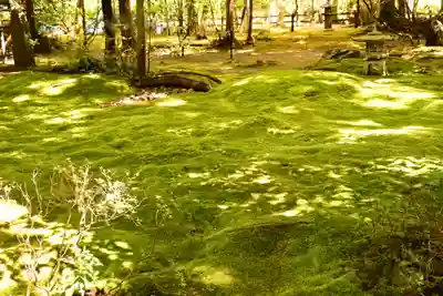 野宮神社(京都府)