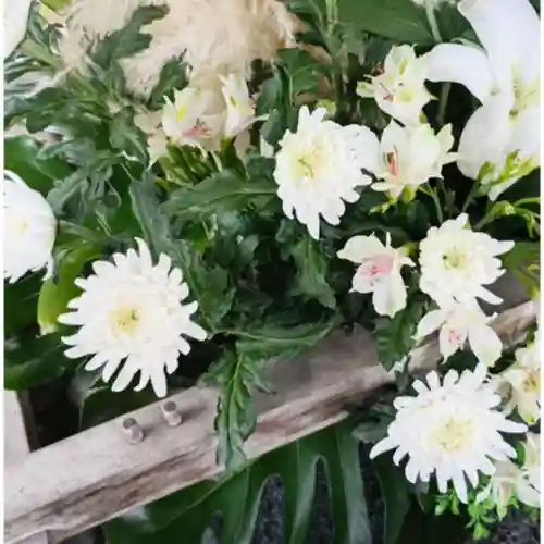 彌彦神社　(伊夜日子神社)の手水舎