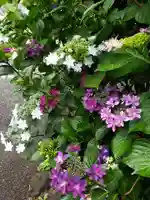 常泉院(東京都)