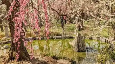 北野天満宮(京都府)
