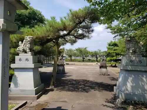 八幡社の狛犬