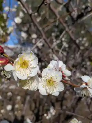 福蔵院(東京都)
