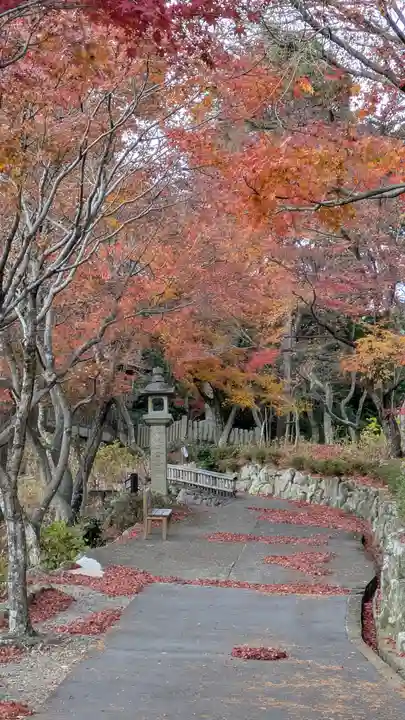 柳谷観音 楊谷寺(京都府)
