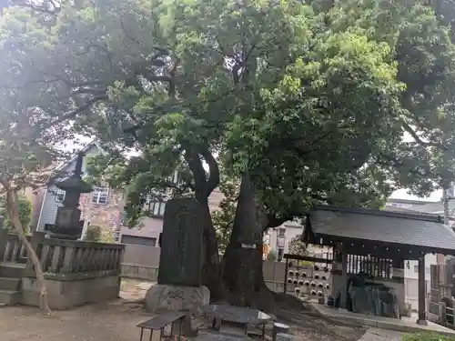 養福寺(東京都)