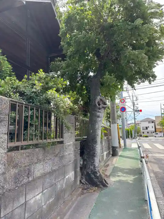 鹿見塚神社の{uncategorized: "未分類", other: "その他", undefined: "問題あり", building: "その他建物", grave: "お墓", sacred_gate: "鳥居", guardian: "狛犬", statue: "像", buddha: "仏像", history: "歴史", nature: "自然", garden: "庭園", animal: "動物", pagoda: "塔", temizu: "手水舎", mountain_gate: "山門・神門", sanctuary: "本殿・本堂", subordinate: "末社・摂社", art: "芸術", scenery: "景色", jizo: "地蔵", ema: "絵馬", goshuin: "御朱印", omikuji: "おみくじ", items: "授与品その他", amulet: "お守り", goshuincho: "御朱印帳", eats: "食事", festival: "お祭り", votive_dance: "神楽", shichigosan: "七五三参", wedding: "結婚式", experience: "体験その他", initially: "初詣", around: "周辺", anti_infection: "感染症対策"}