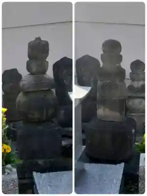 真観寺の{uncategorized: "未分類", other: "その他", undefined: "問題あり", building: "その他建物", grave: "お墓", sacred_gate: "鳥居", guardian: "狛犬", statue: "像", buddha: "仏像", history: "歴史", nature: "自然", garden: "庭園", animal: "動物", pagoda: "塔", temizu: "手水舎", mountain_gate: "山門・神門", sanctuary: "本殿・本堂", subordinate: "末社・摂社", art: "芸術", scenery: "景色", jizo: "地蔵", ema: "絵馬", goshuin: "御朱印", omikuji: "おみくじ", items: "授与品その他", amulet: "お守り", goshuincho: "御朱印帳", eats: "食事", festival: "お祭り", votive_dance: "神楽", shichigosan: "七五三参", wedding: "結婚式", experience: "体験その他", initially: "初詣", around: "周辺", anti_infection: "感染症対策"}