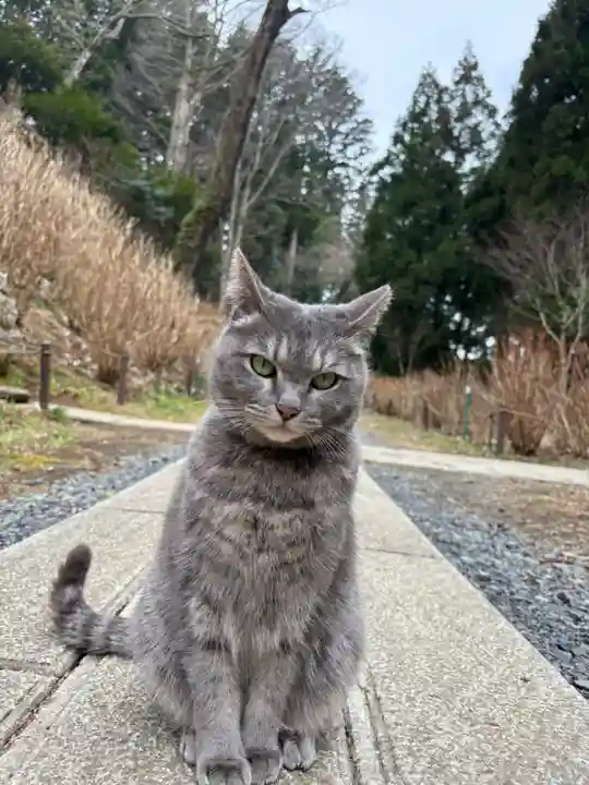 鷲子山上神社(栃木県)