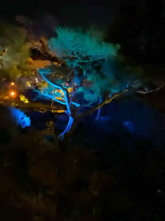 平安神宮の{uncategorized: "未分類", other: "その他", undefined: "問題あり", building: "その他建物", grave: "お墓", sacred_gate: "鳥居", guardian: "狛犬", statue: "像", buddha: "仏像", history: "歴史", nature: "自然", garden: "庭園", animal: "動物", pagoda: "塔", temizu: "手水舎", mountain_gate: "山門・神門", sanctuary: "本殿・本堂", subordinate: "末社・摂社", art: "芸術", scenery: "景色", jizo: "地蔵", ema: "絵馬", goshuin: "御朱印", omikuji: "おみくじ", items: "授与品その他", amulet: "お守り", goshuincho: "御朱印帳", eats: "食事", festival: "お祭り", votive_dance: "神楽", shichigosan: "七五三参", wedding: "結婚式", experience: "体験その他", initially: "初詣", around: "周辺", anti_infection: "感染症対策"}