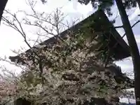 光明寺のその他建物